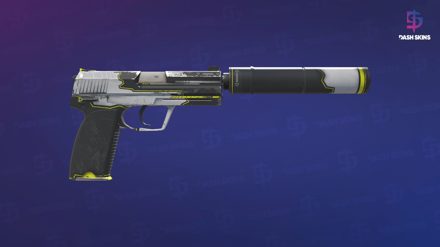 USP-S | Torque (Field-Tested) - Backside Screenshot
