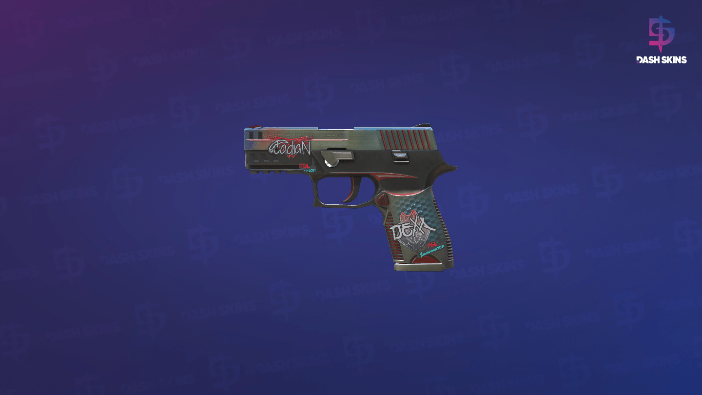 P250 | Cyber Shell (Minimal Wear) - Frontside Screenshot