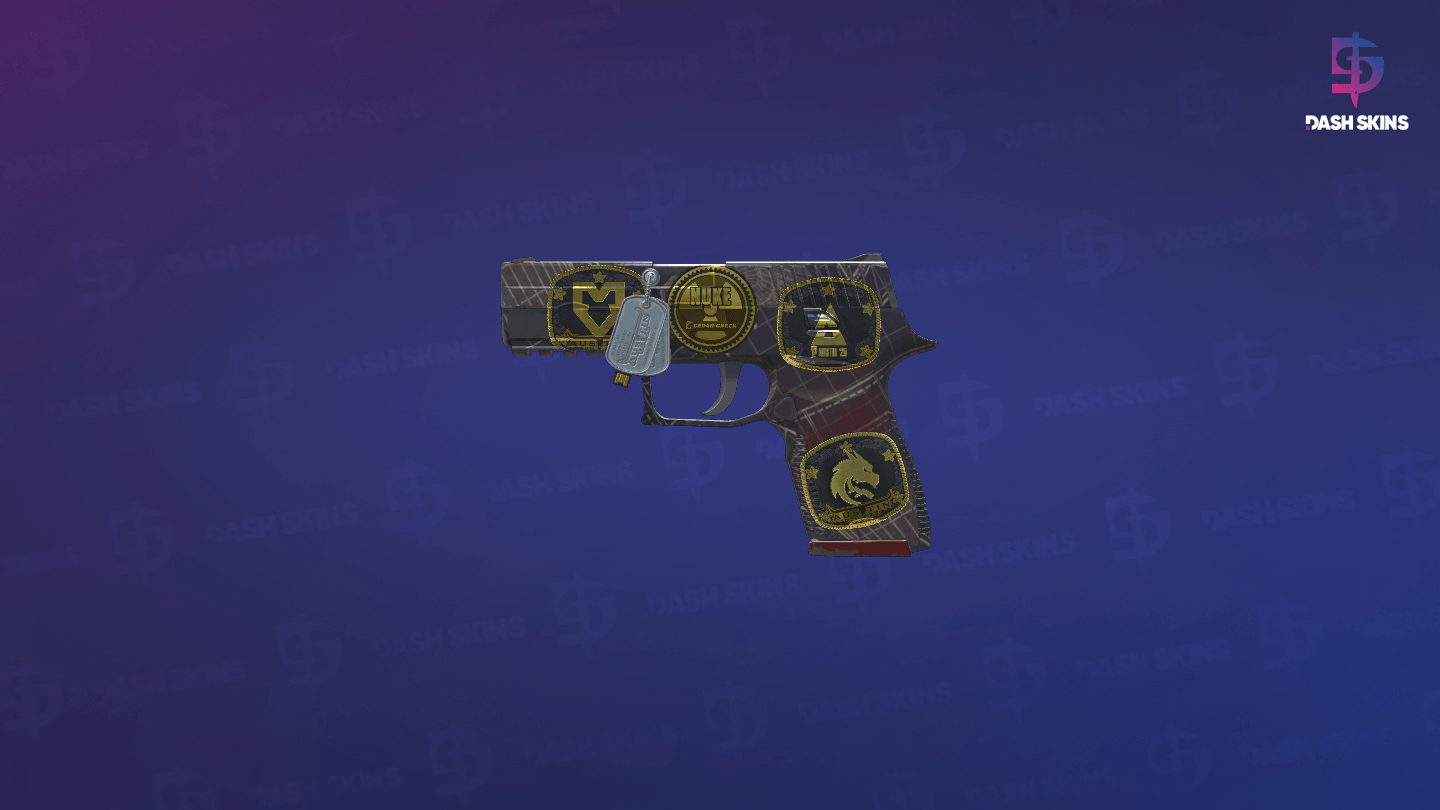 Souvenir P250 | Facility Draft (Field-Tested) - Frontside Screenshot