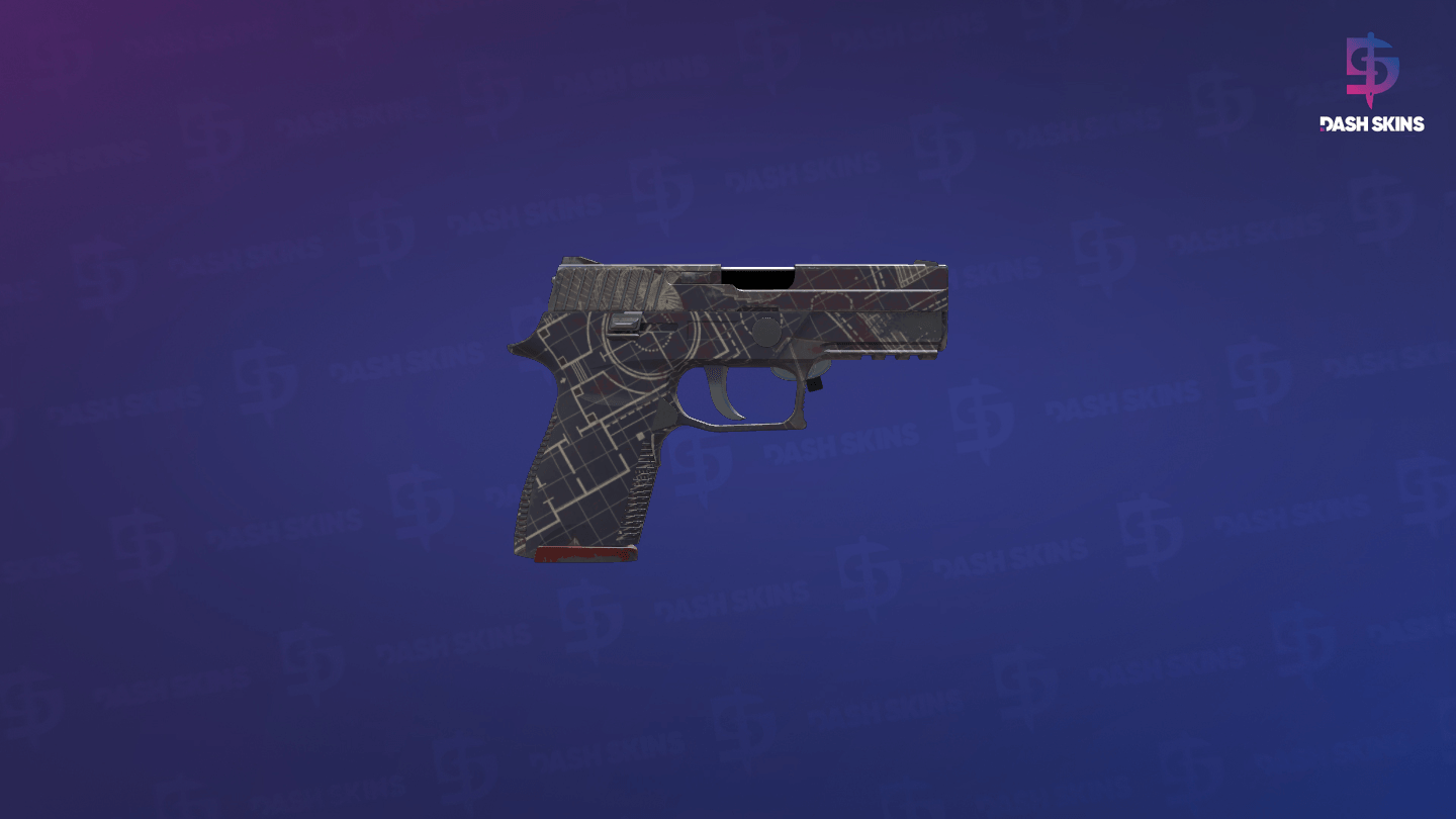 Souvenir P250 | Facility Draft (Field-Tested) - Backside Screenshot