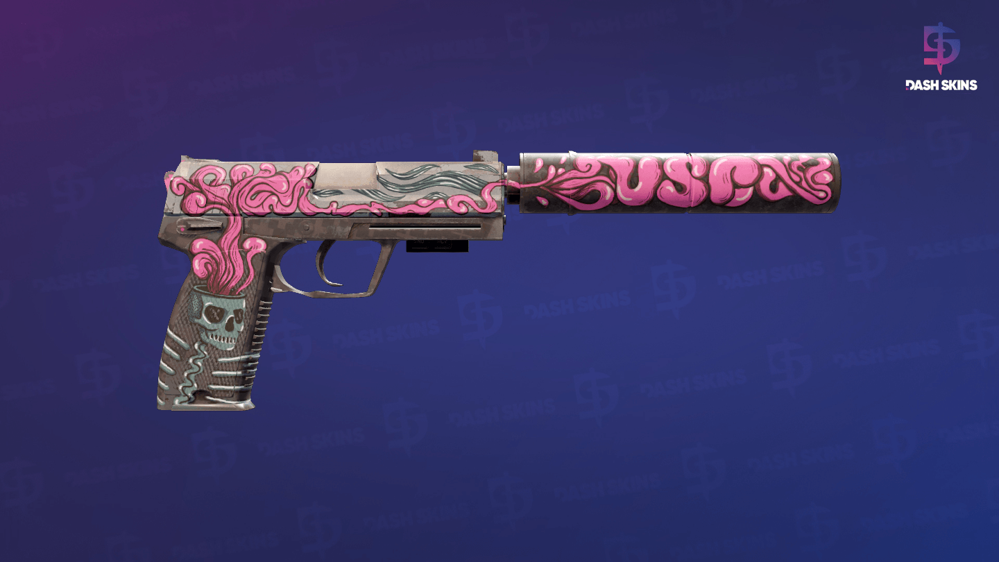 StatTrak™ USP-S | Cortex (Well-Worn) - Backside Screenshot