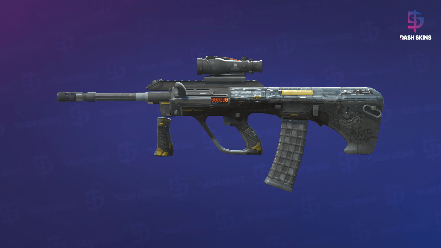 StatTrak™ AUG | Tom Cat (Battle-Scarred) - Frontside Screenshot