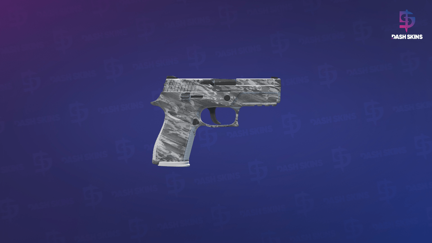 P250 | Sleet (Factory New) - Backside Screenshot