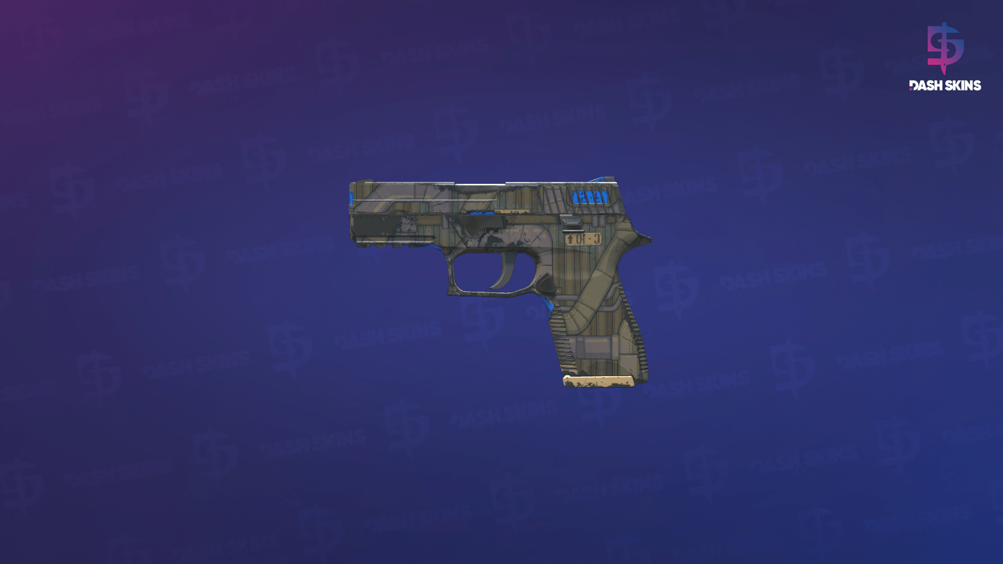 P250 | Exchanger (Field-Tested) - Frontside Screenshot