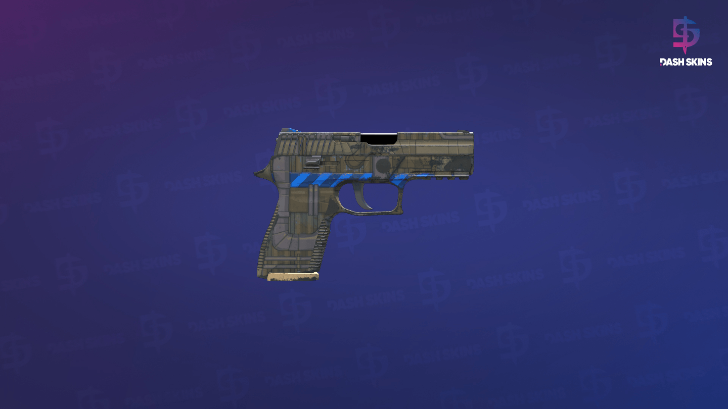 P250 | Exchanger (Field-Tested) - Backside Screenshot