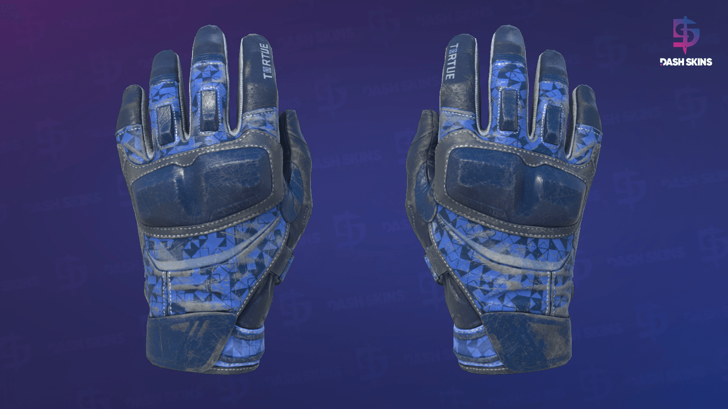 ★ Moto Gloves | Polygon (Well-Worn) - Frontside Screenshot