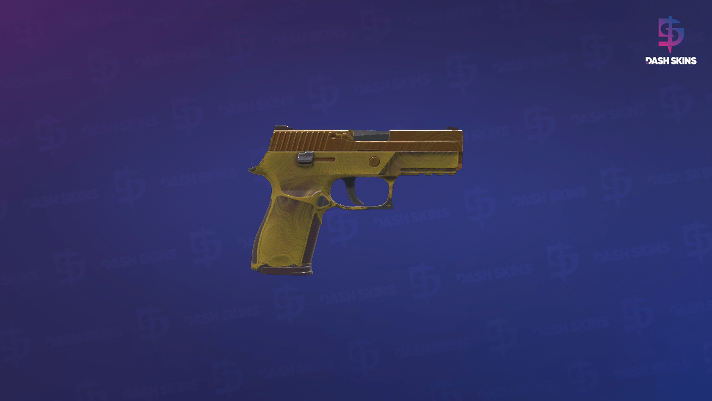 P250 | Sedimentary (Field-Tested) - Backside Screenshot