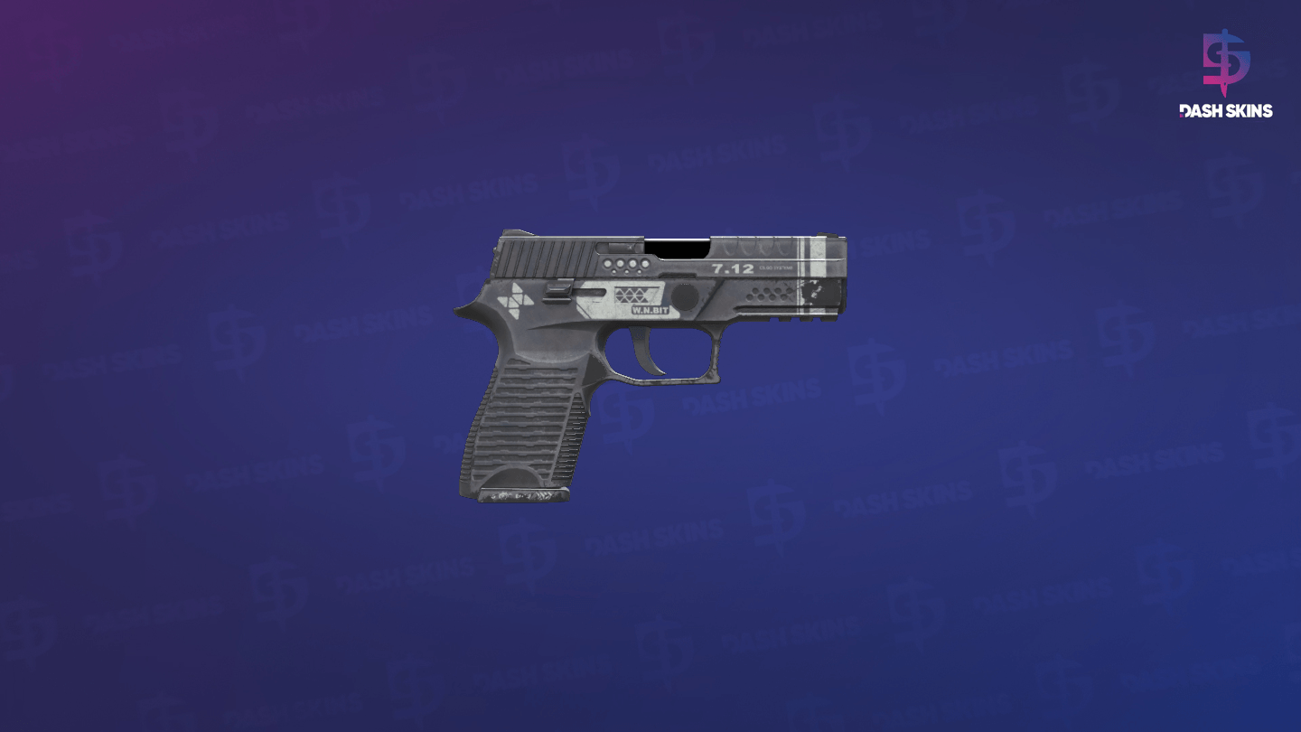 P250 | Re.built (Field-Tested) - Backside Screenshot