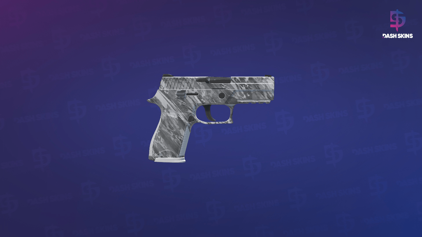 P250 | Sleet (Factory New) - Backside Screenshot