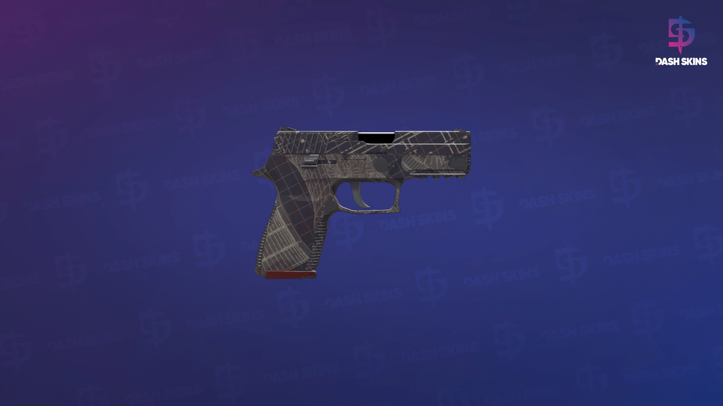 P250 | Facility Draft (Minimal Wear) - Backside Screenshot