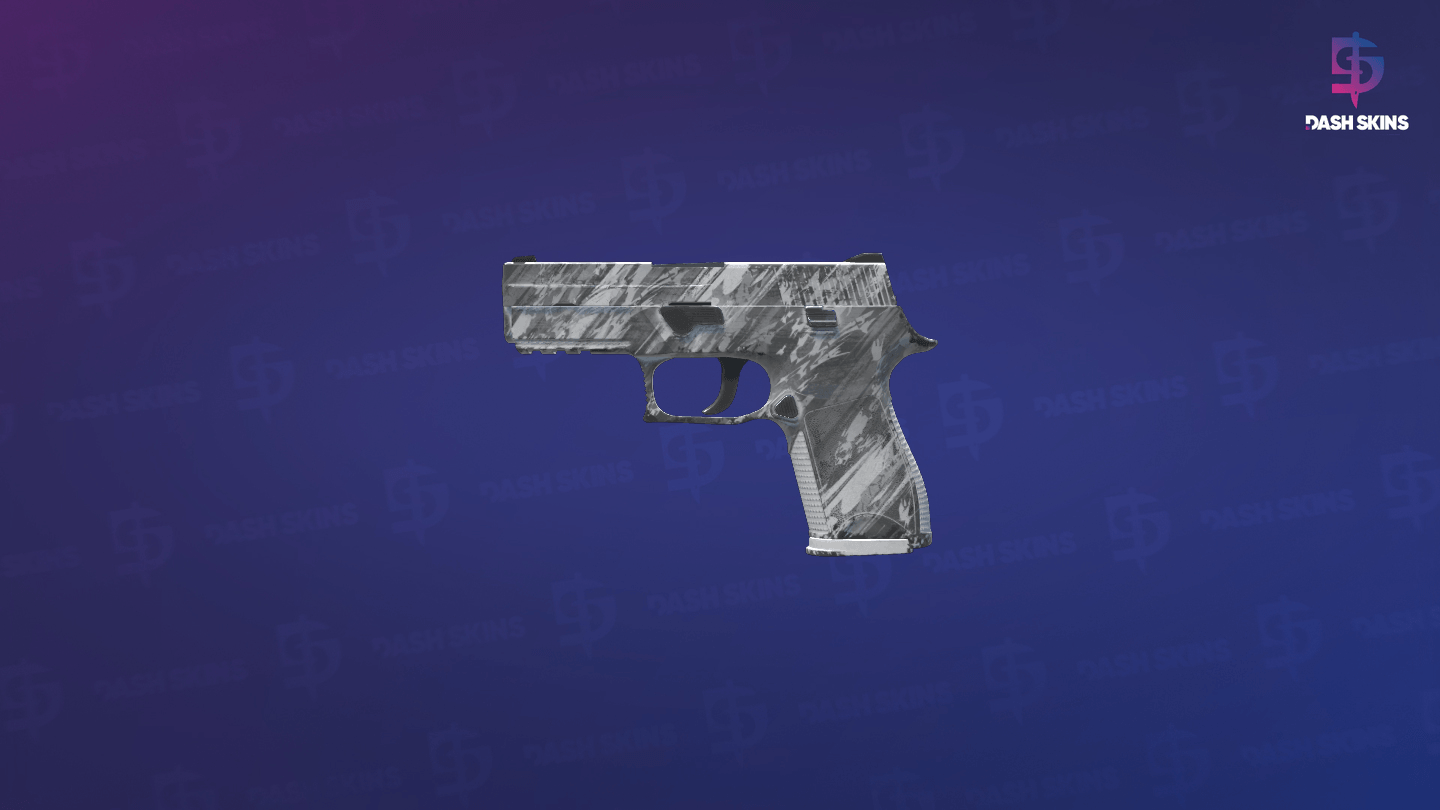 P250 | Sleet (Field-Tested) - Frontside Screenshot