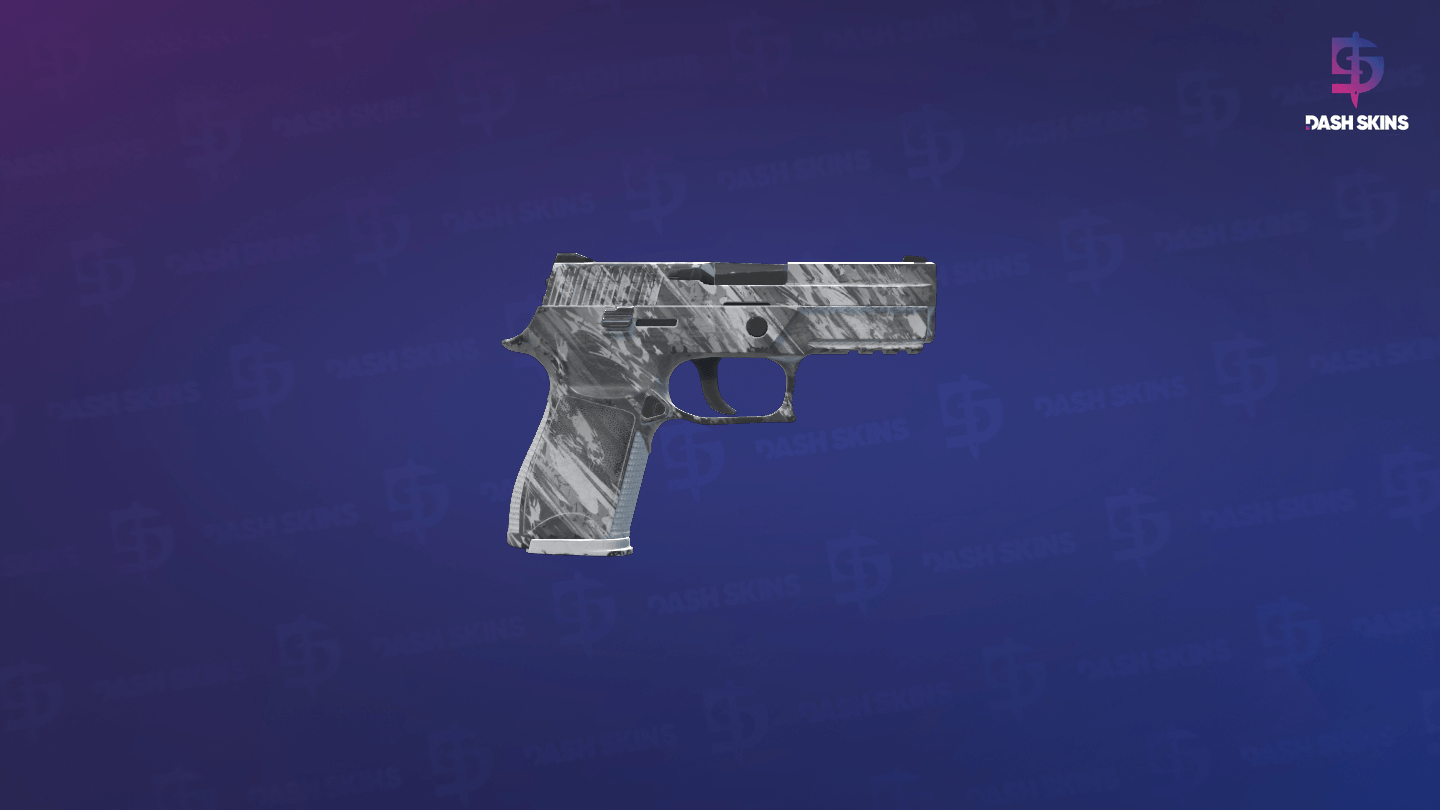 P250 | Sleet (Field-Tested) - Backside Screenshot