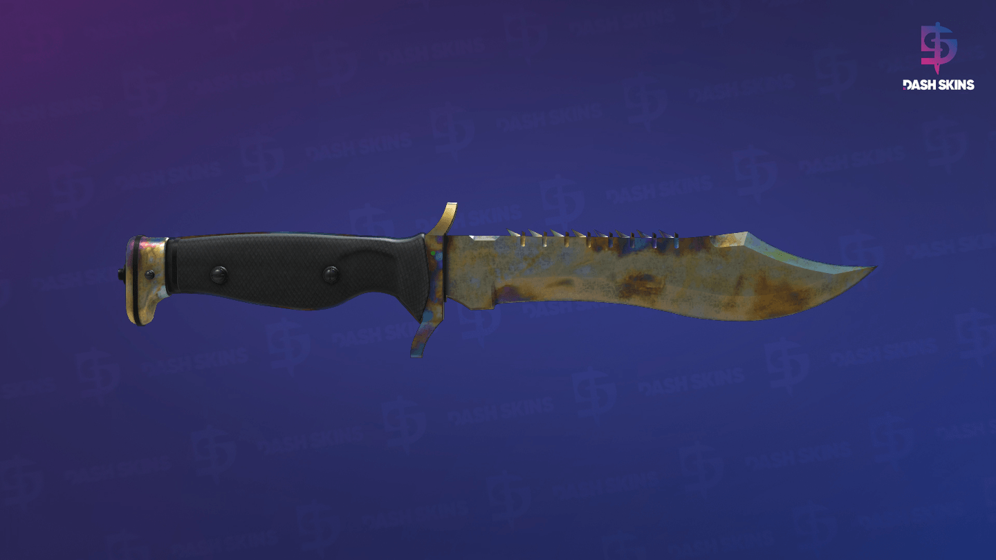 ★ Bowie Knife | Case Hardened (Well-Worn) - Frontside Screenshot