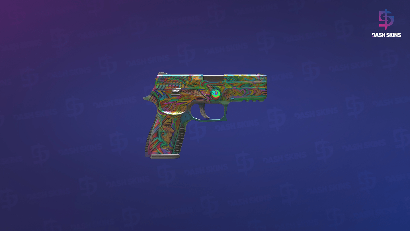 P250 | Visions (Field-Tested) - Backside Screenshot