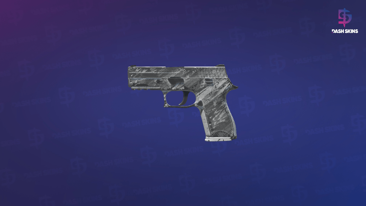 P250 | Sleet (Battle-Scarred) - Frontside Screenshot