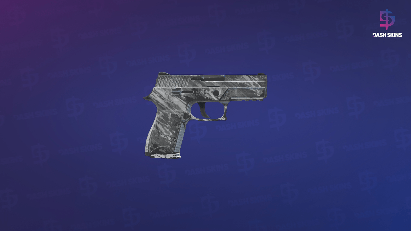 P250 | Sleet (Battle-Scarred) - Backside Screenshot