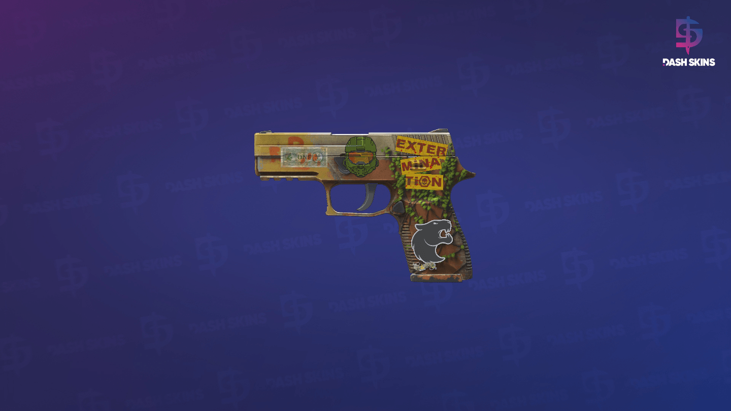 P250 | Inferno (Field-Tested) - Frontside Screenshot