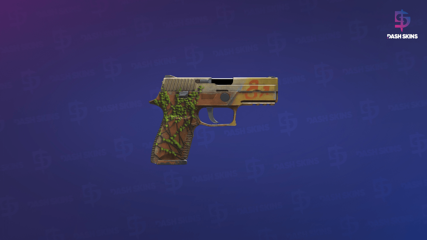 P250 | Inferno (Field-Tested) - Backside Screenshot