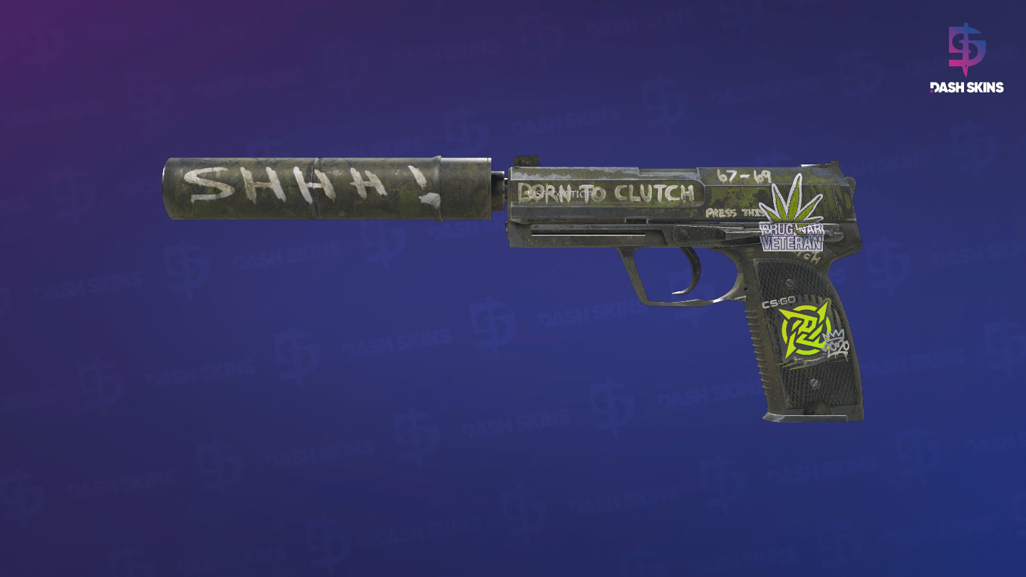 USP-S | Flashback - Frontside Screenshot