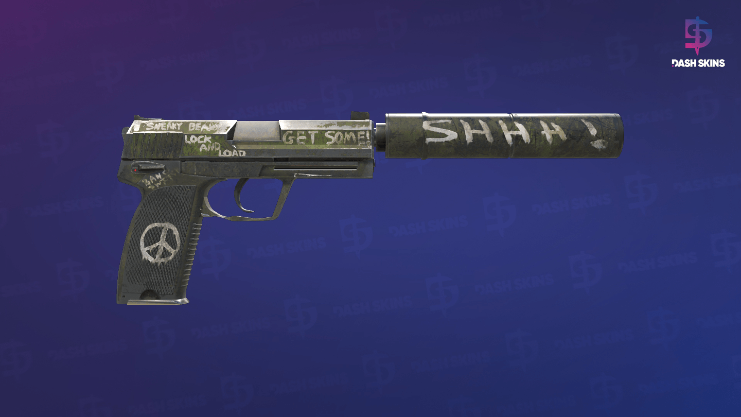 USP-S | Flashback - Backside Screenshot