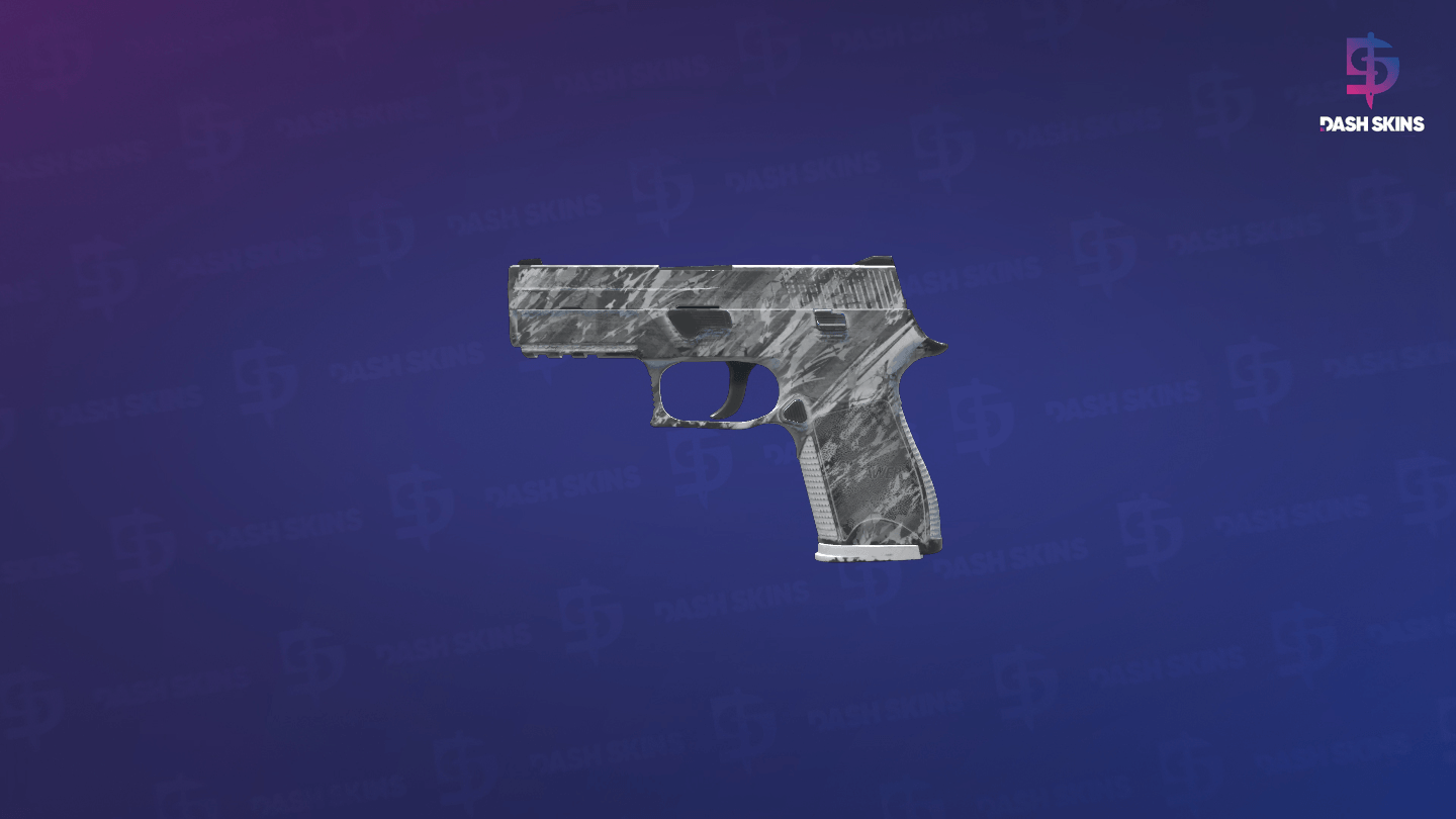 P250 | Sleet (Field-Tested) - Frontside Screenshot