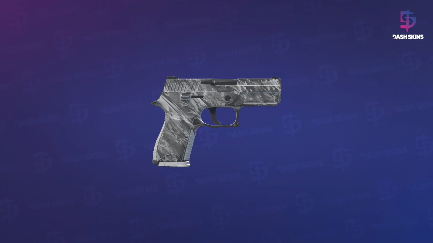 P250 | Sleet (Field-Tested) - Backside Screenshot