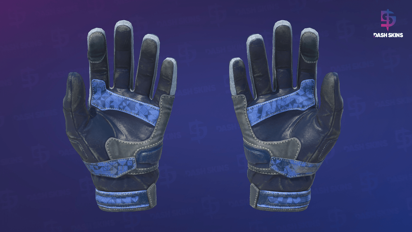 ★ Moto Gloves | Polygon (Well-Worn) - Backside Screenshot