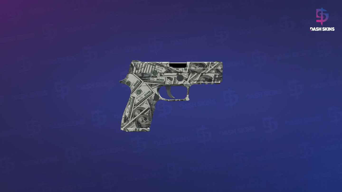 P250 | Franklin (Field-Tested) - Backside Screenshot