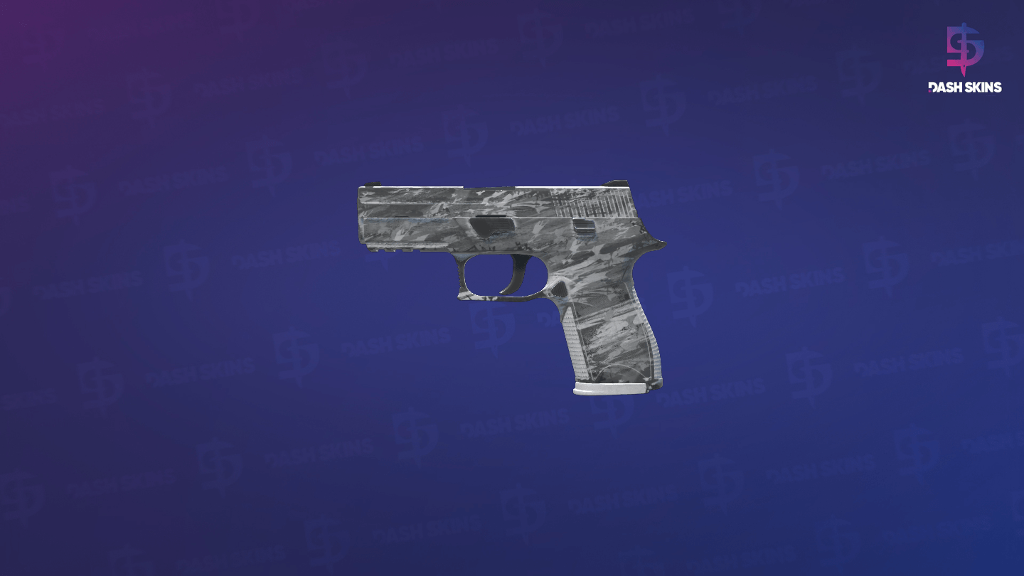 P250 | Sleet (Field-Tested) - Frontside Screenshot