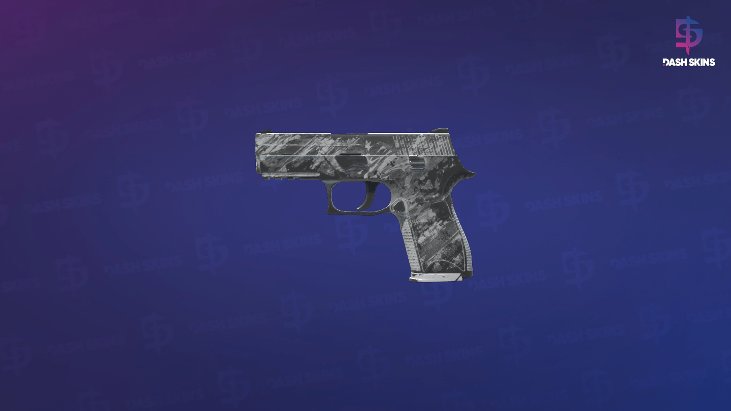P250 | Sleet (Battle-Scarred) - Frontside Screenshot