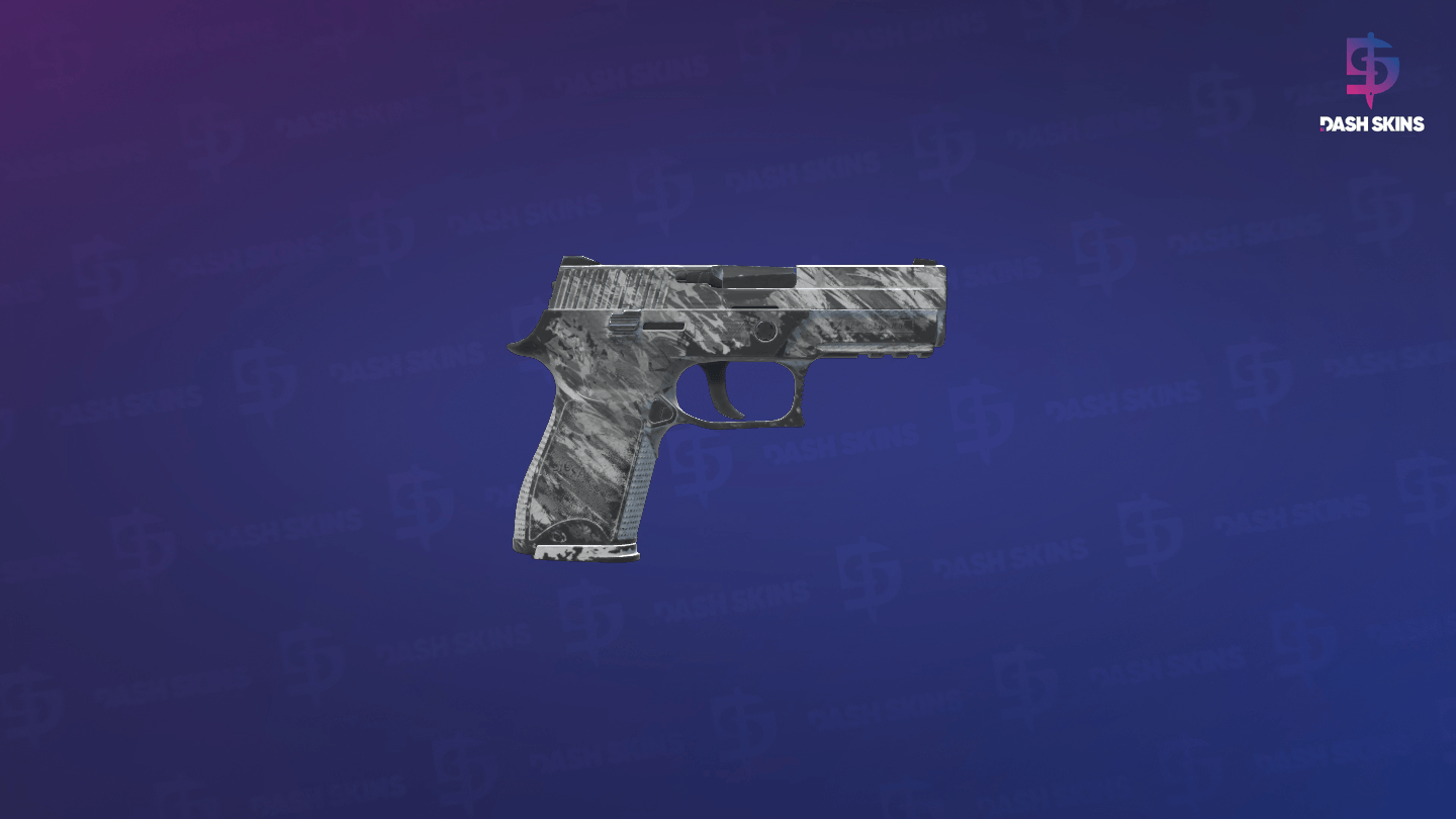P250 | Sleet (Battle-Scarred) - Backside Screenshot