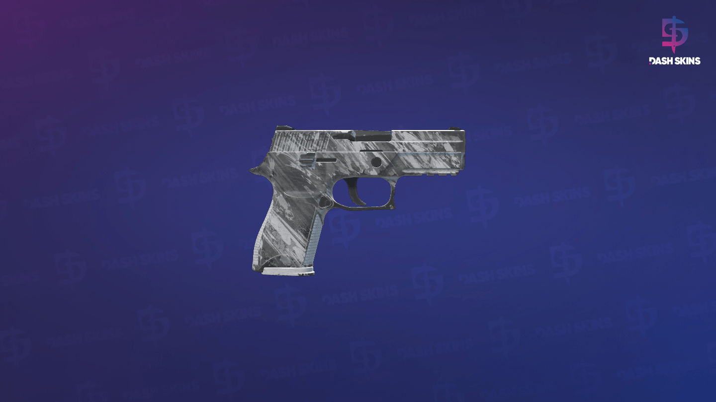 P250 | Sleet (Field-Tested) - Backside Screenshot
