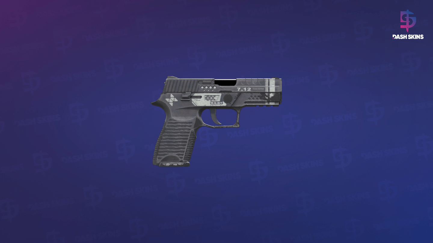 P250 | Re.built (Field-Tested) - Backside Screenshot