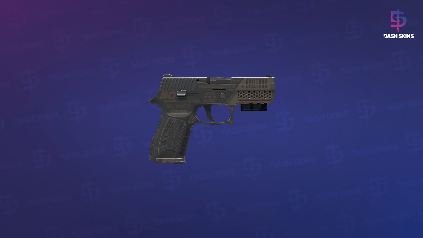 StatTrak™ P250 | Bullfrog (Well-Worn) - Backside Screenshot