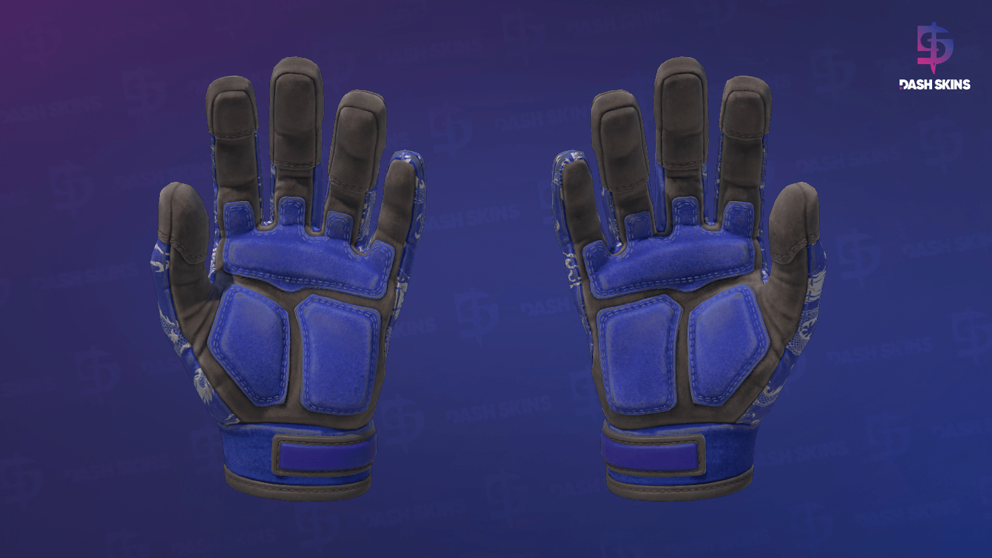 ★ Specialist Gloves | Cloud Chaser (Field-Tested) - Backside Screenshot