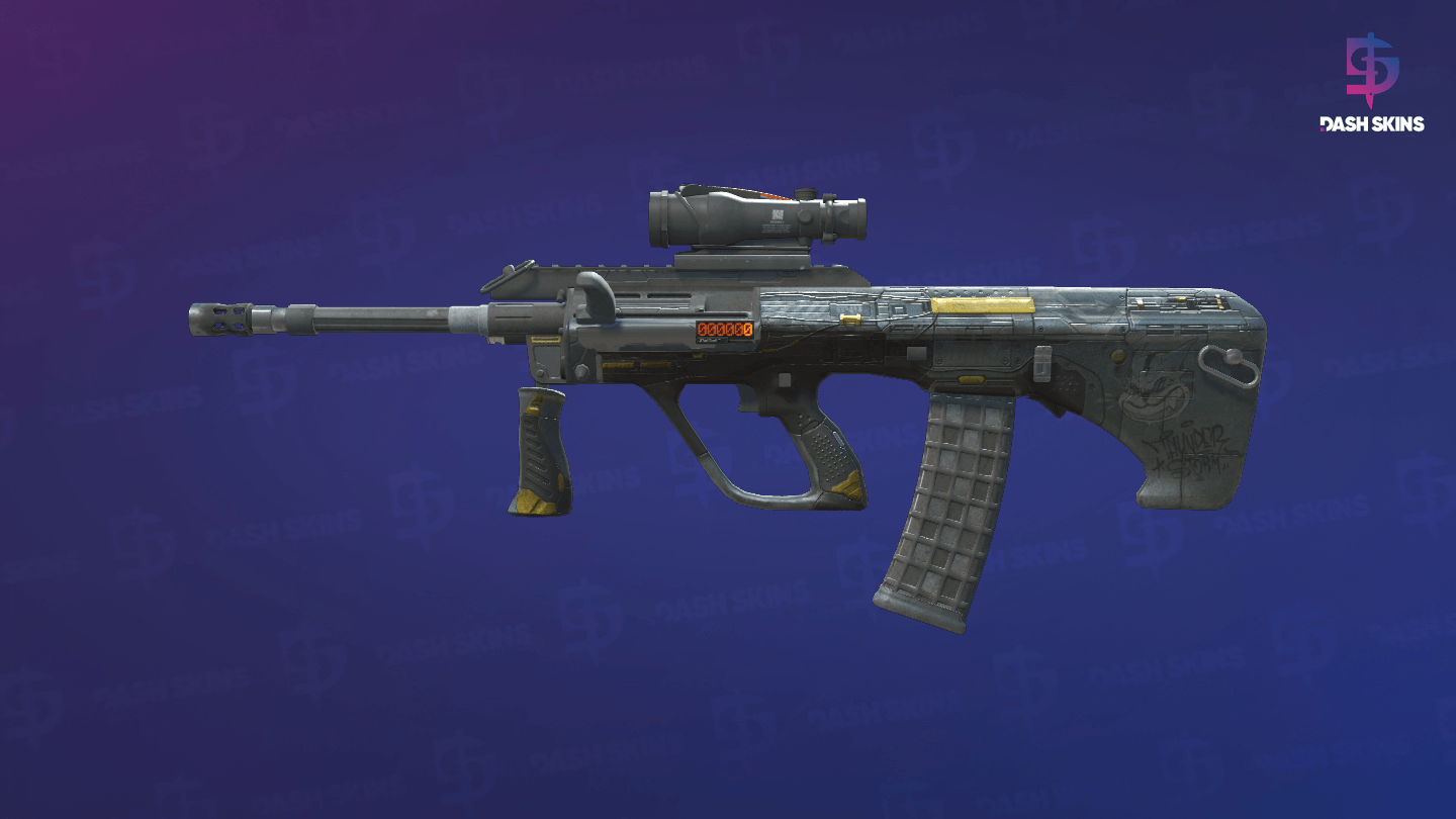 StatTrak™ AUG | Tom Cat (Battle-Scarred) - Frontside Screenshot