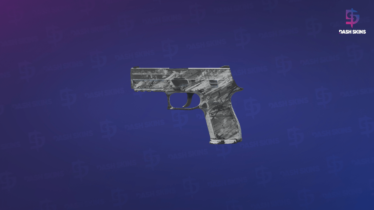 P250 | Sleet (Battle-Scarred) - Frontside Screenshot