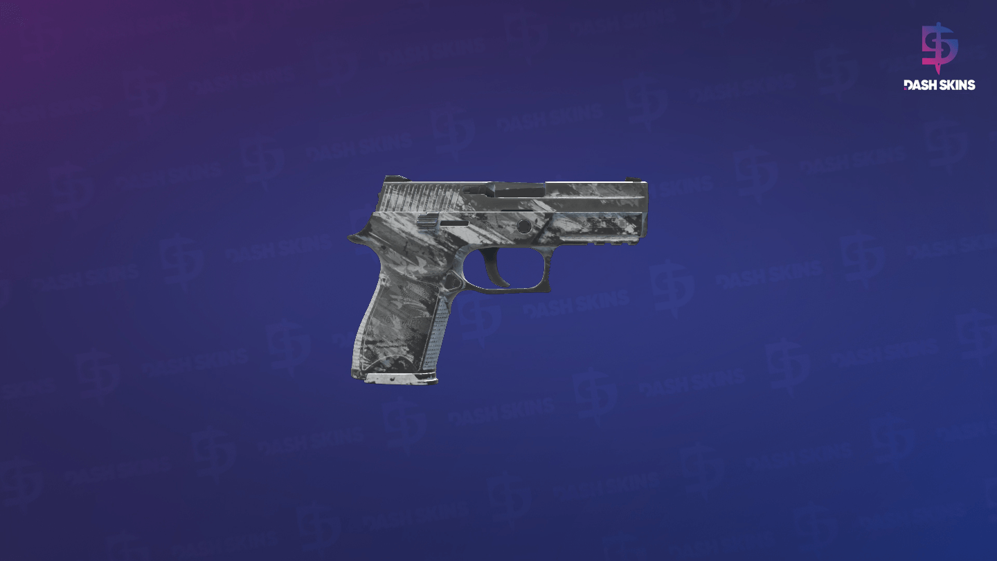 P250 | Sleet (Battle-Scarred) - Backside Screenshot