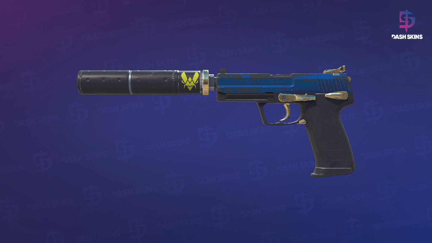 USP-S | Royal Guard (Well-Worn) - Frontside Screenshot