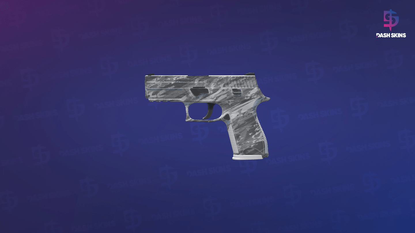P250 | Sleet (Factory New) - Frontside Screenshot