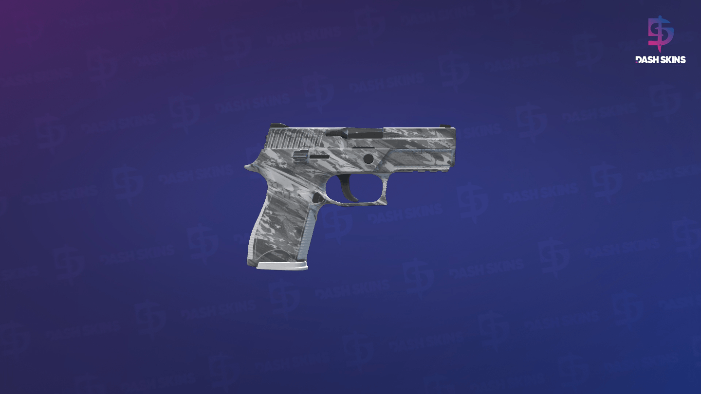 P250 | Sleet (Factory New) - Backside Screenshot