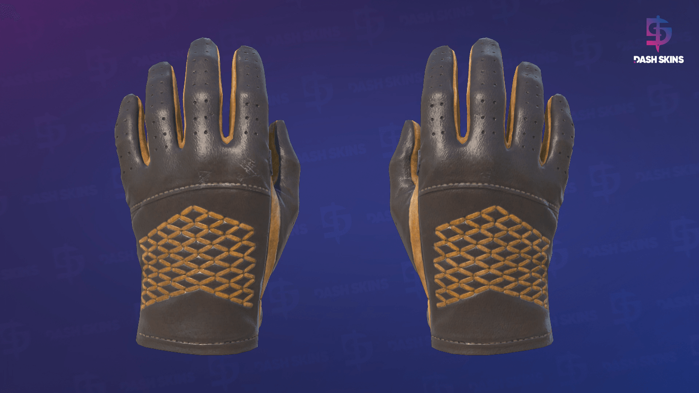 ★ Driver Gloves | Overtake (Minimal Wear) - Frontside Screenshot