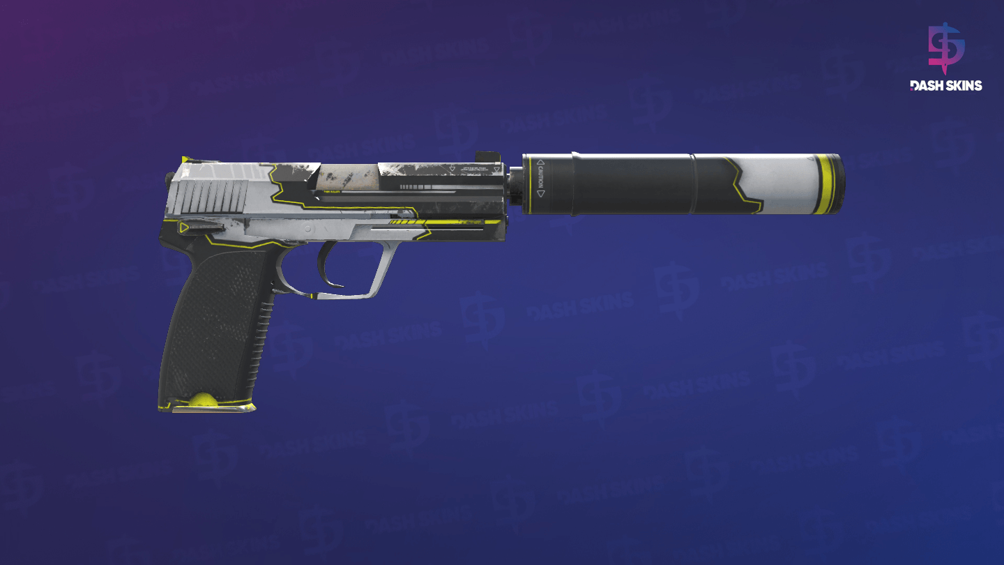 USP-S | Torque (Field-Tested) - Backside Screenshot