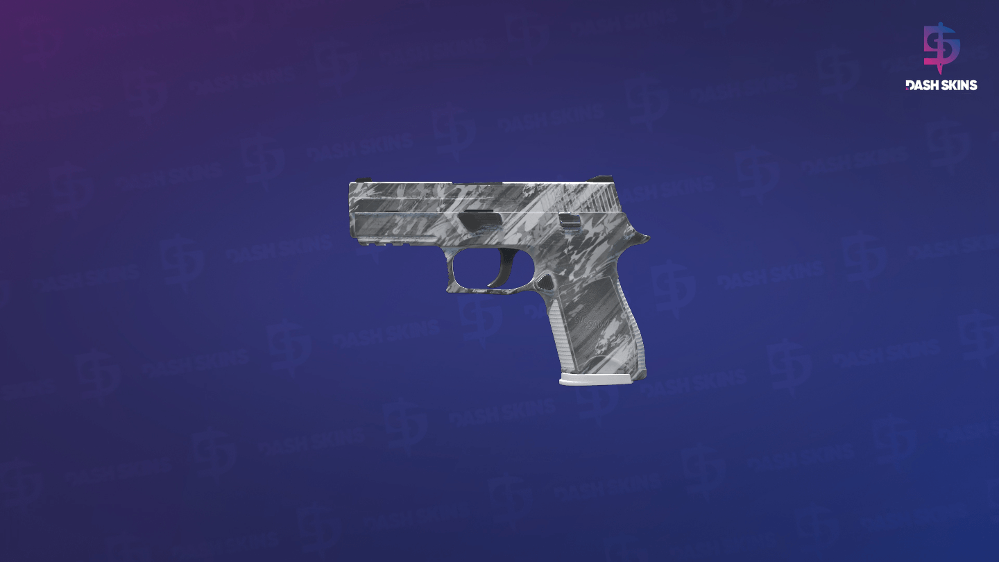 P250 | Sleet (Minimal Wear) - Frontside Screenshot