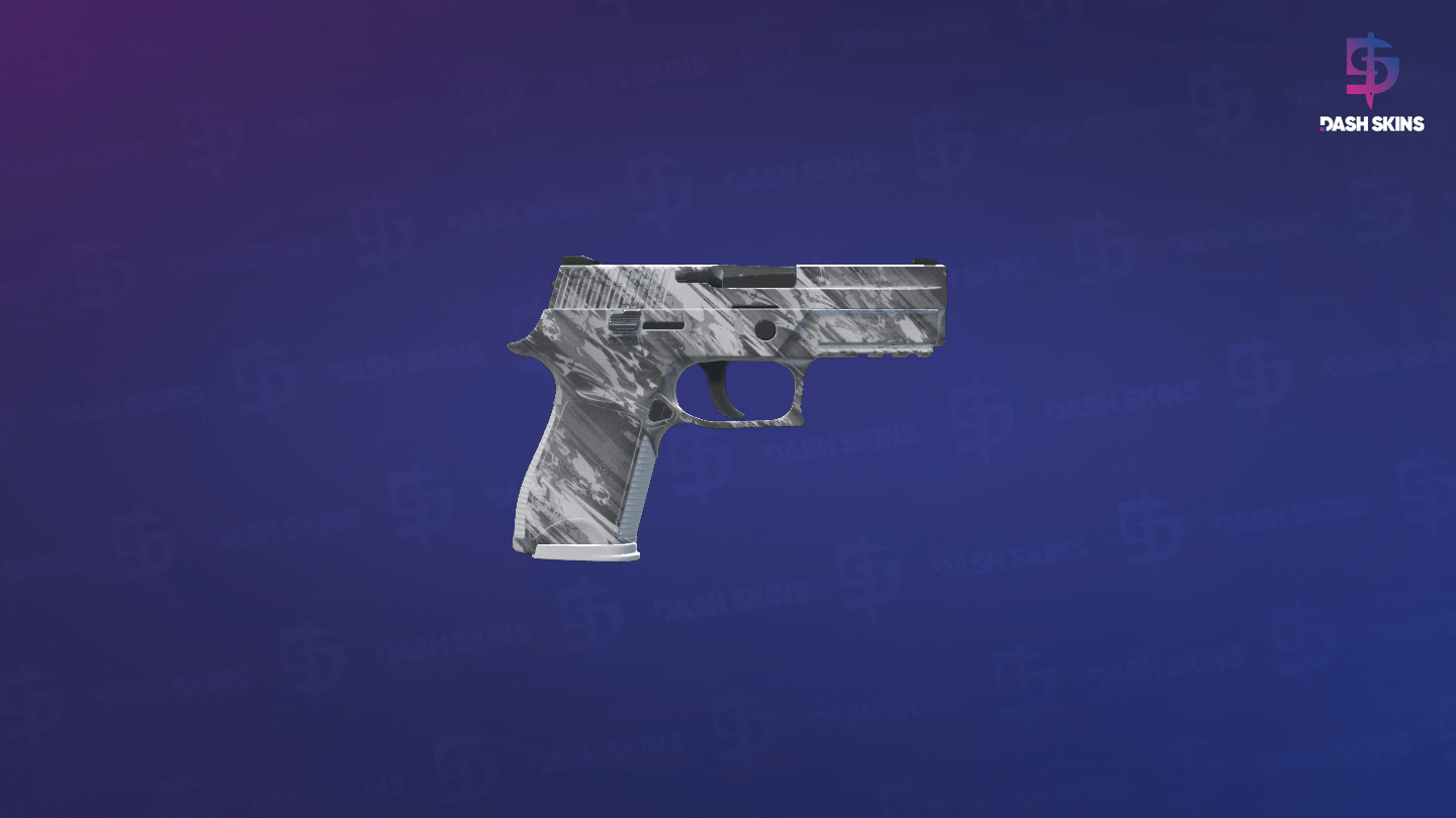 P250 | Sleet (Factory New) - Backside Screenshot