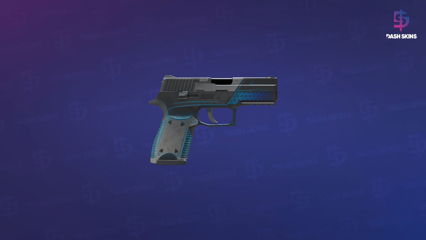 P250 | Valence (Well-Worn) - Backside Screenshot