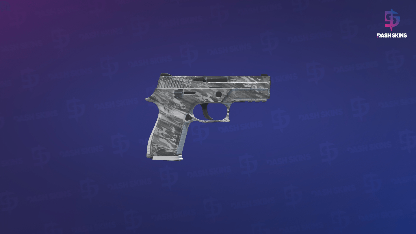 P250 | Sleet (Field-Tested) - Backside Screenshot