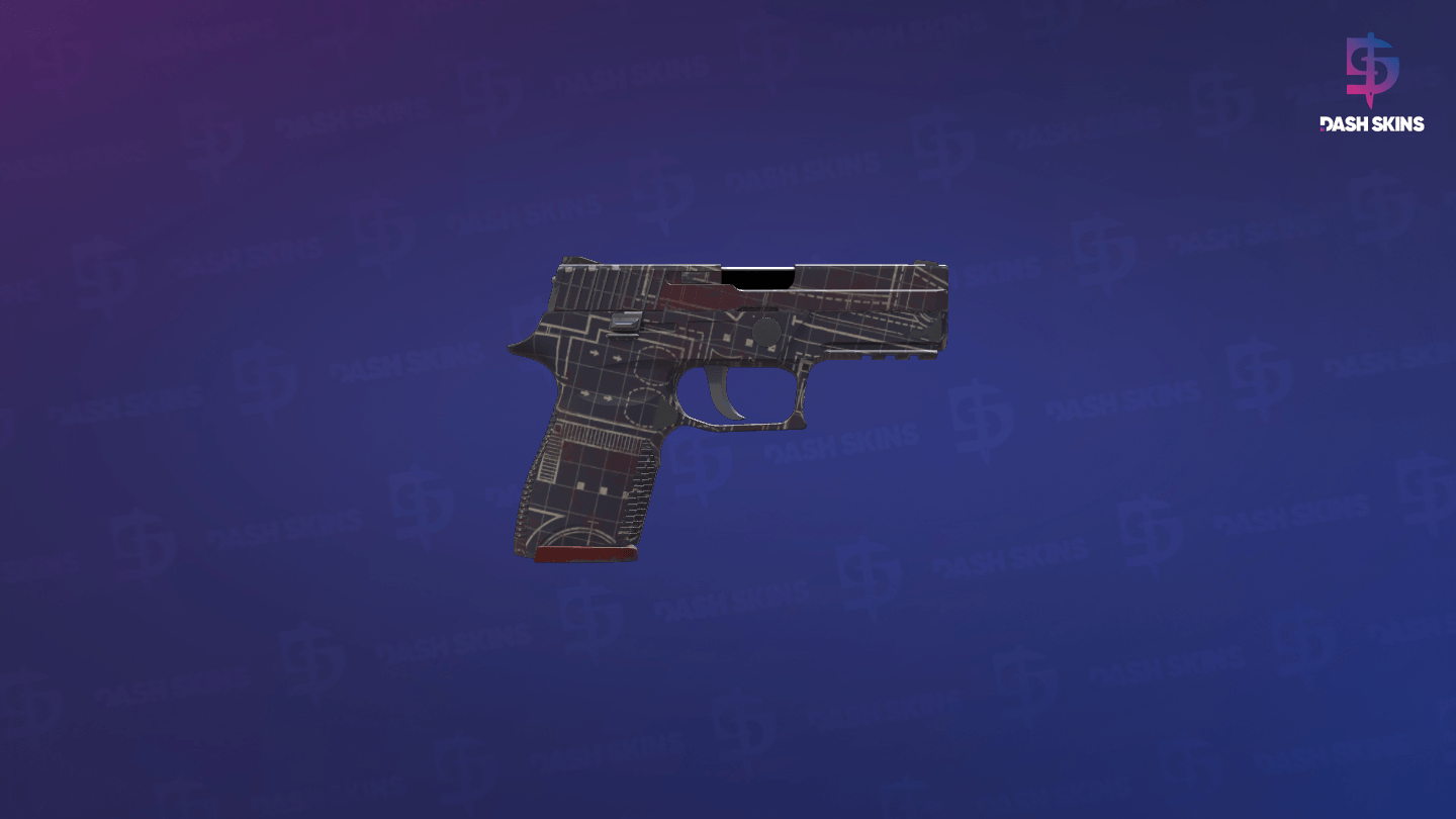 P250 | Facility Draft (Minimal Wear) - Backside Screenshot