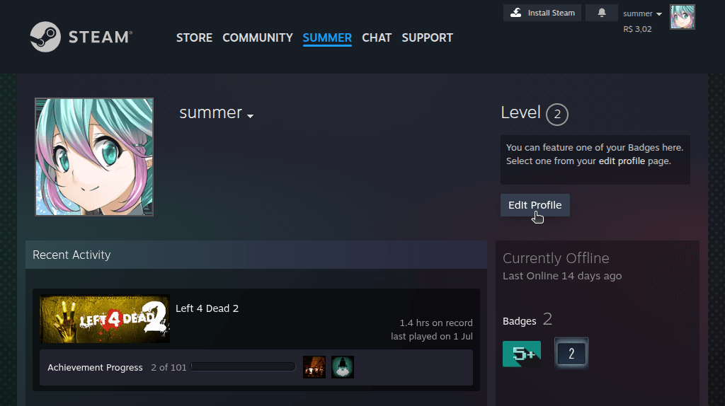 How do I change the visibility of my Steam profile and inventory? - Step 2